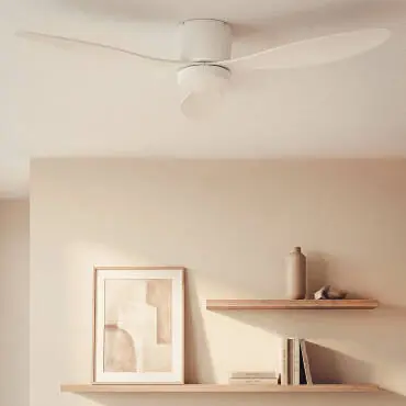 Ventilateur de Plafond Extérieur