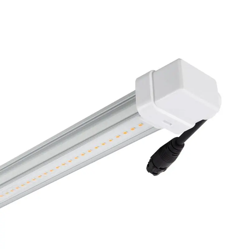 Tube LED T8 G13 60cm Grow 10W de Culture Batten