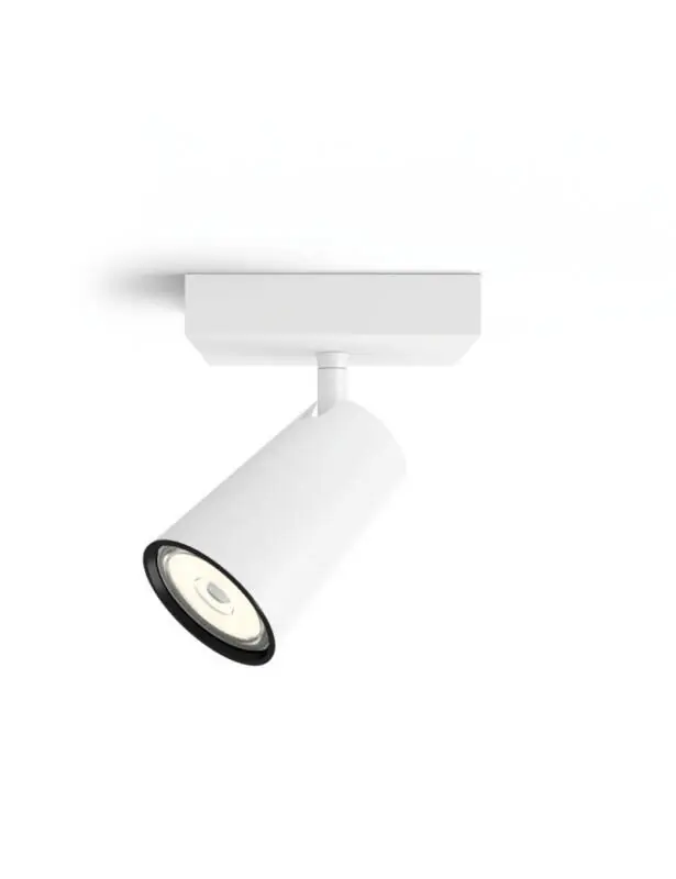 Plafonnier PHILIPS Paisley 1 Spot