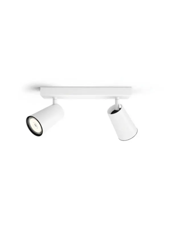 Plafonnier PHILIPS Paisley 2 Spots