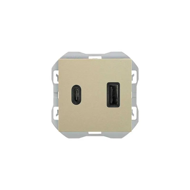 Chargeur Double Smartcharge USB + TYPE C SIMON 270 20000296