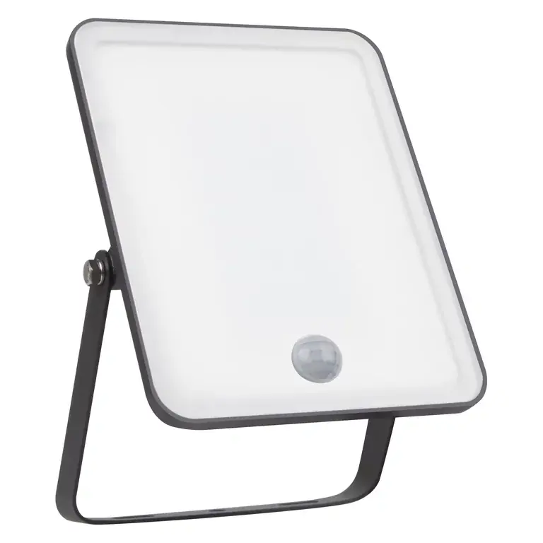 Floodlight Essential Sensor 30W lampe d’extérieur