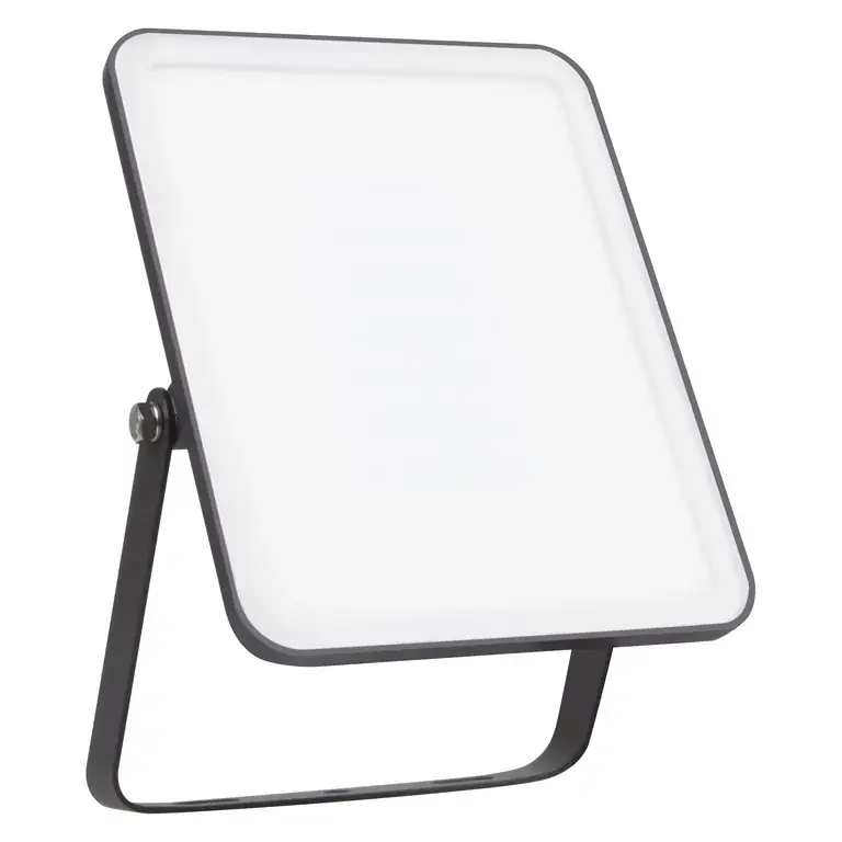 Floodlight Essential 30W lampe d’extérieur