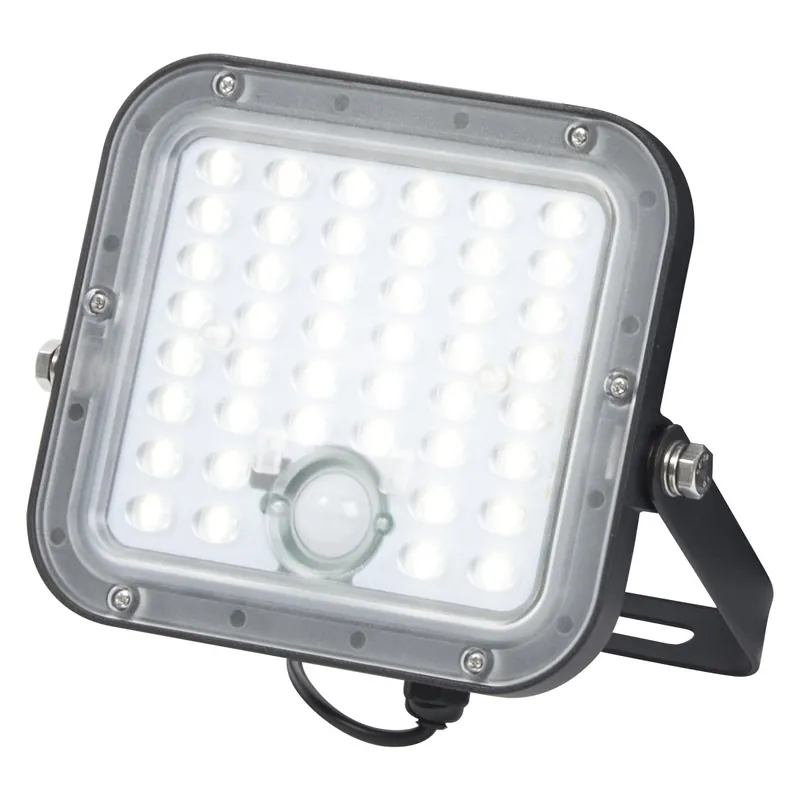 Flood Sensor 10W lampe solaire