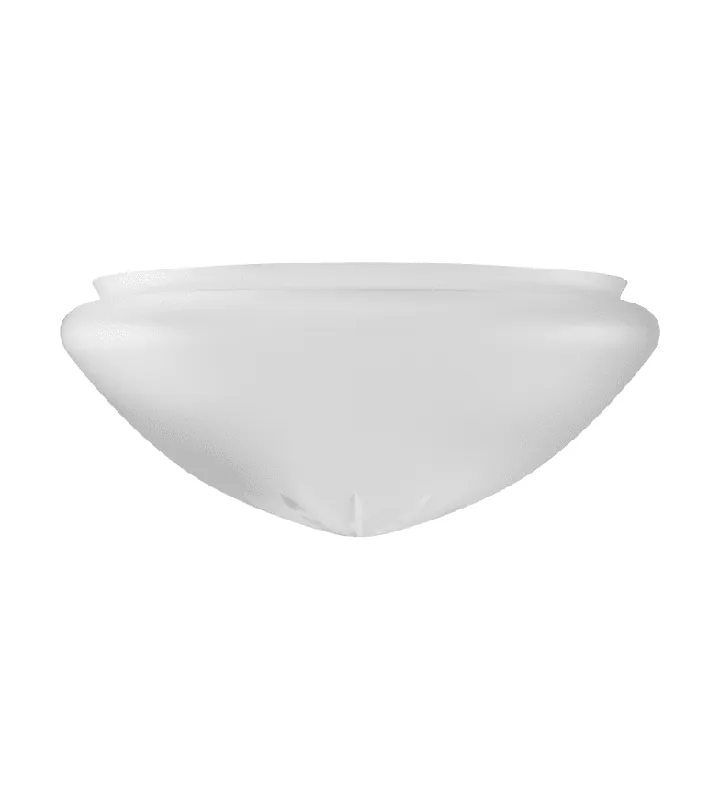 Pendant Glass Shade 300