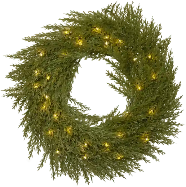 Thuja Ø45