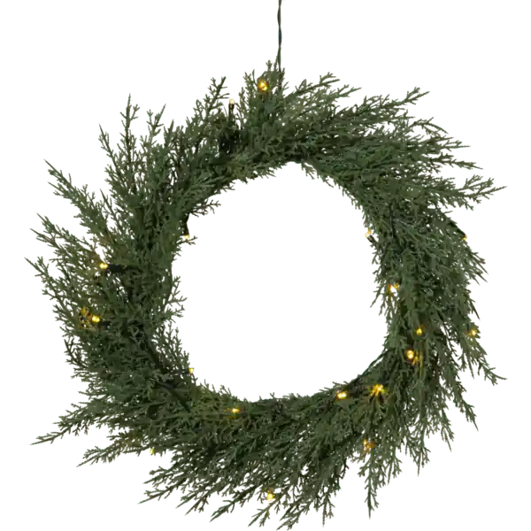 Thuja Ø40