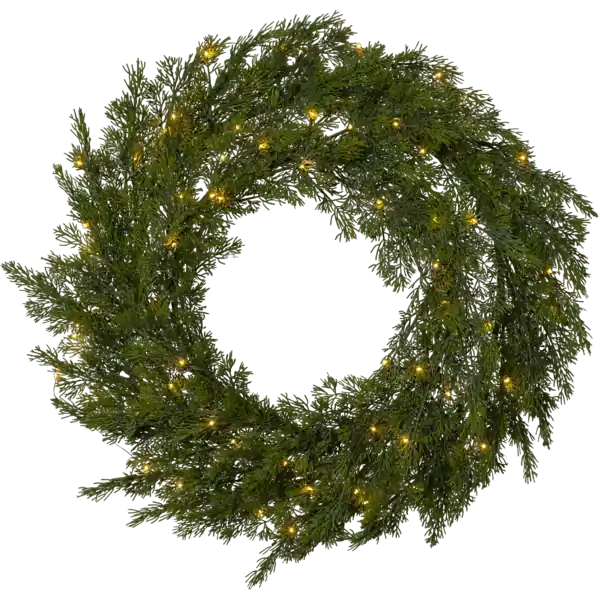 Thuja Ø60