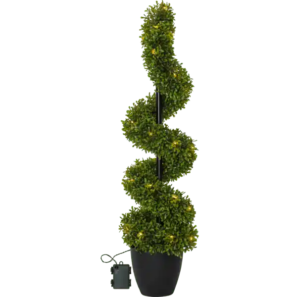 Buxbom 90cm