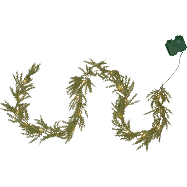 Thuja 180cm