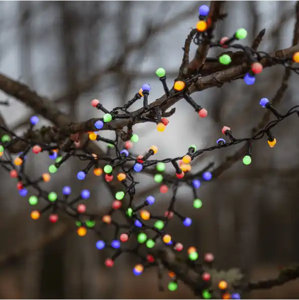 Guirlande Lumineuse Berry 6m