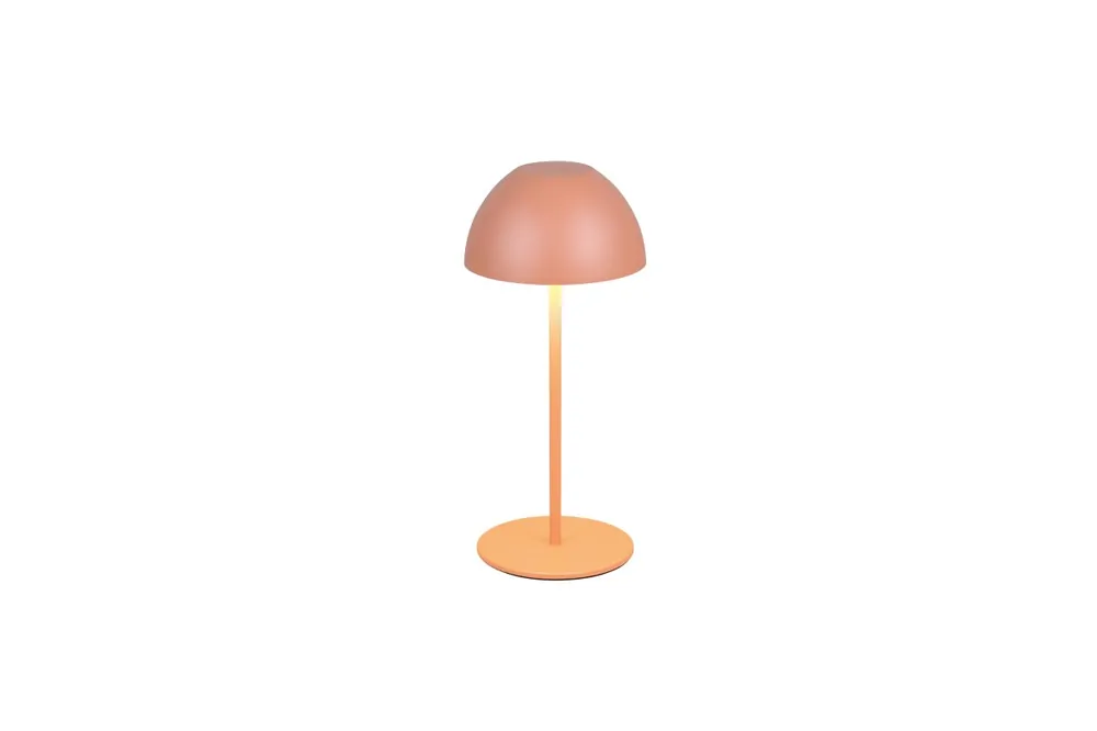 Ortiz 20cm portable