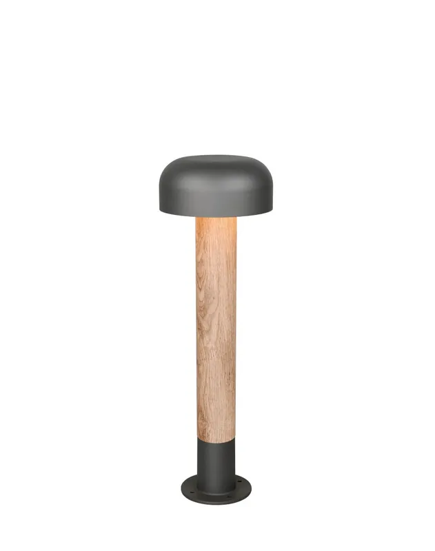 Fraser 54cm bornes