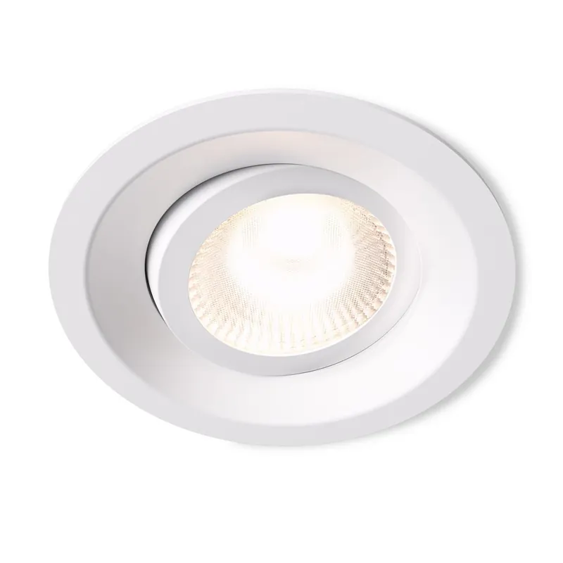 Downlight DWN-01 orientable