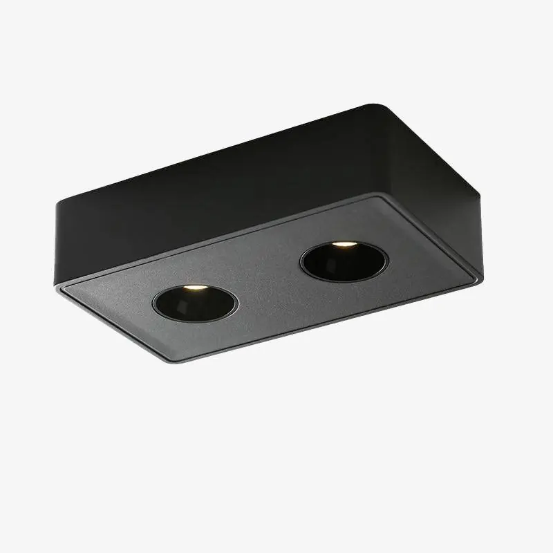 Luminaire LED Rectangulaire Double Light