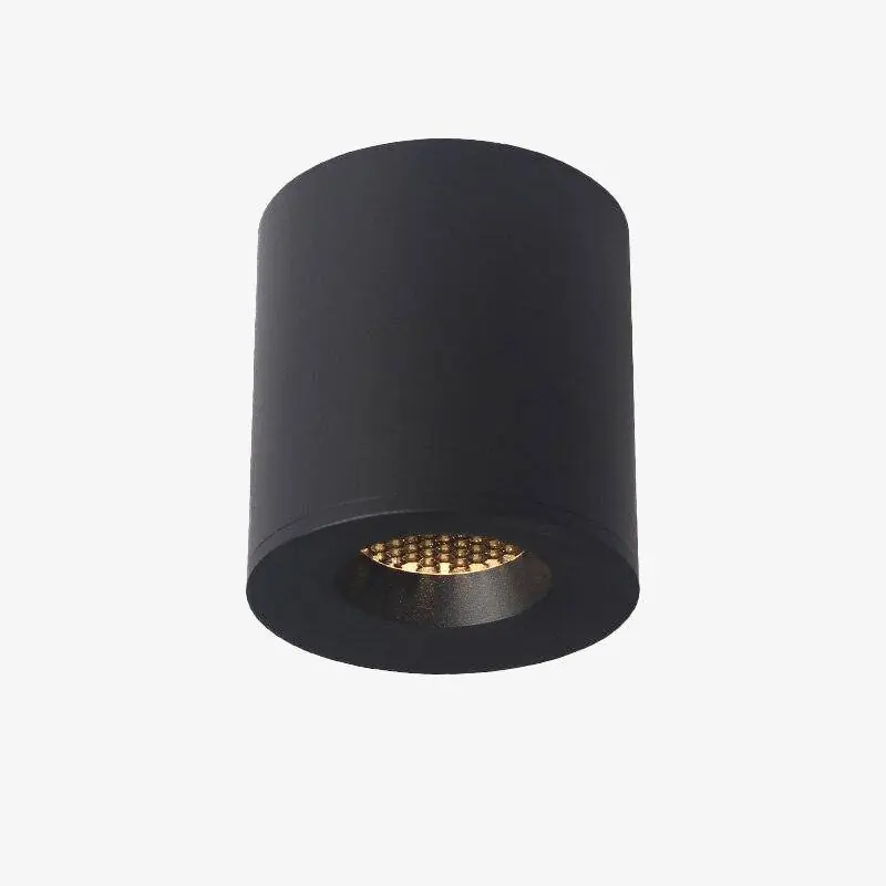 Spot LED cylindre en métal pour un style loft urbain
