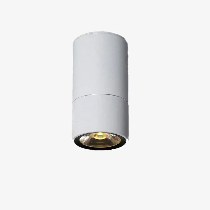 Projecteur LED cylindre en aluminium Mindlight
