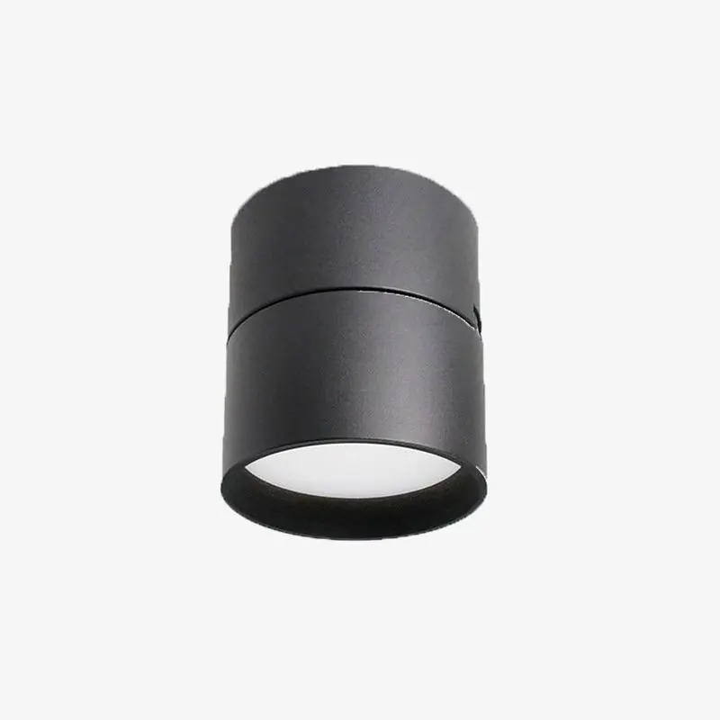 Spot LED rond orientable pour un style Loft contemporain