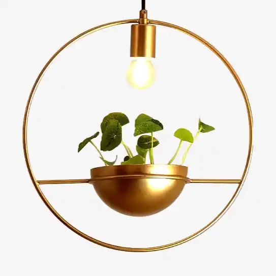 Suspension LED \\"Ring Plant Ball\\"