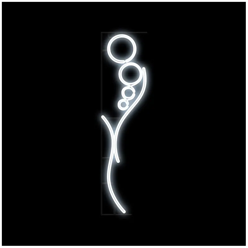 PETILLA NEON - Motif