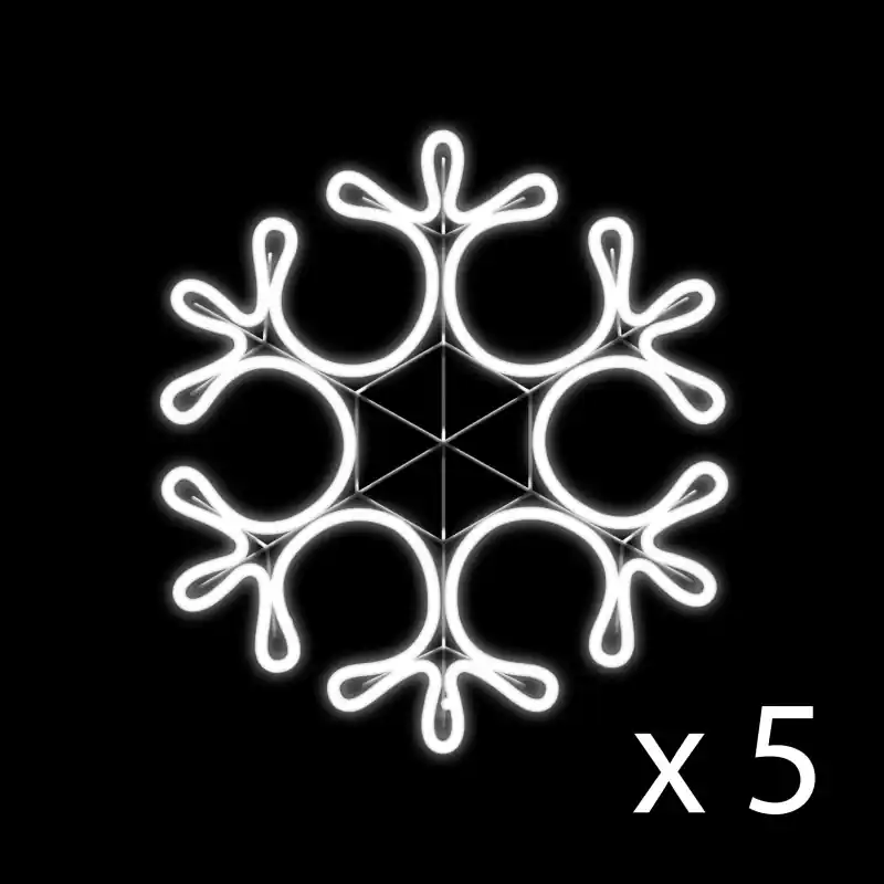 Set de 5 flocons effet néon
