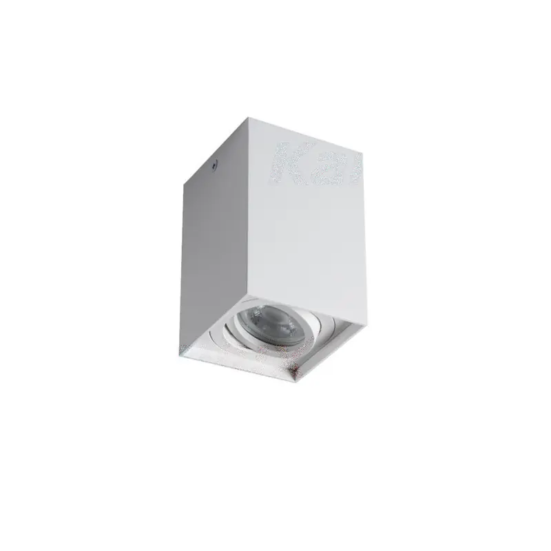 Plafonnier GORD XS DLP-50-W
