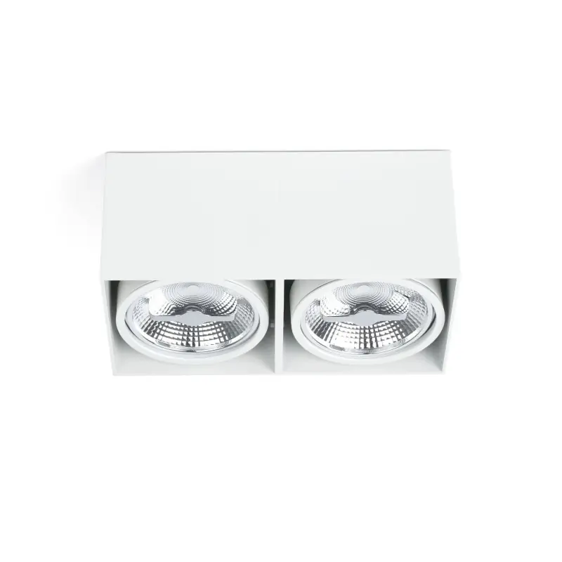 TECTO 2L AR111 Plafonnier blanche