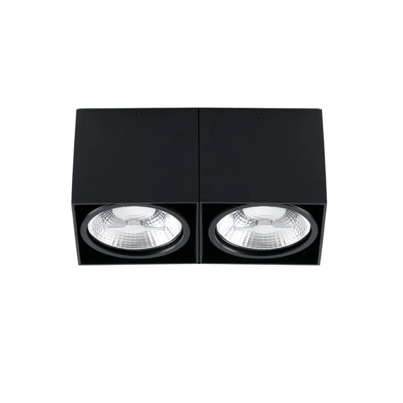 TECTO 2L AR111 Plafonnier noire
