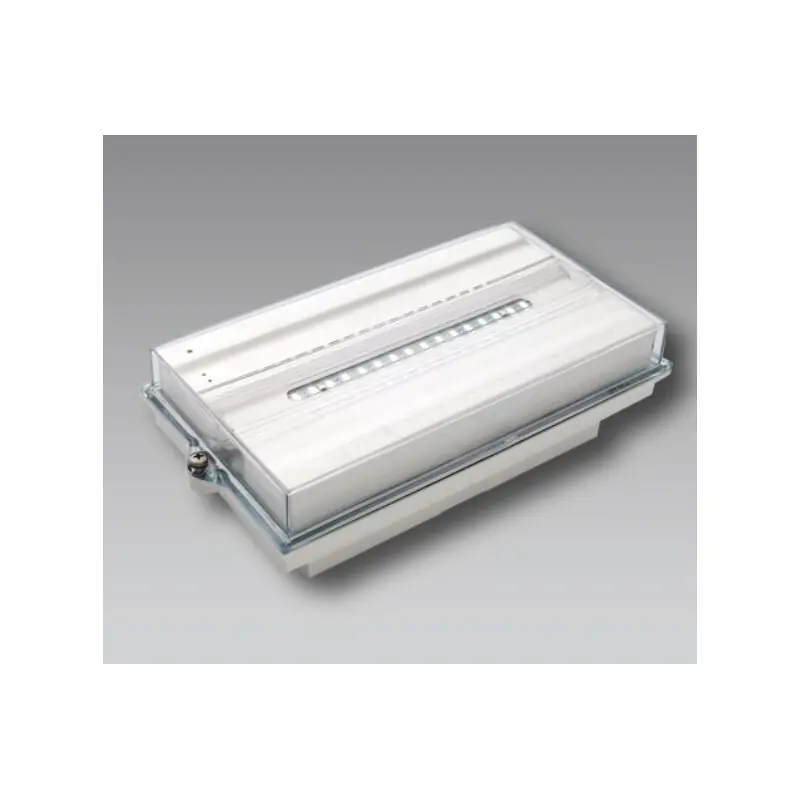 BOITIER ETANCHE IP65 IK10 POUR BLOC SECOURS SMART SSMS