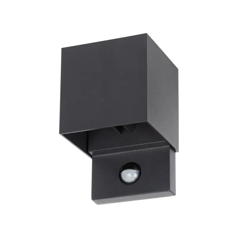 Applique extérieure détécteur gris anthracite REKA PIR 7W led ajustable