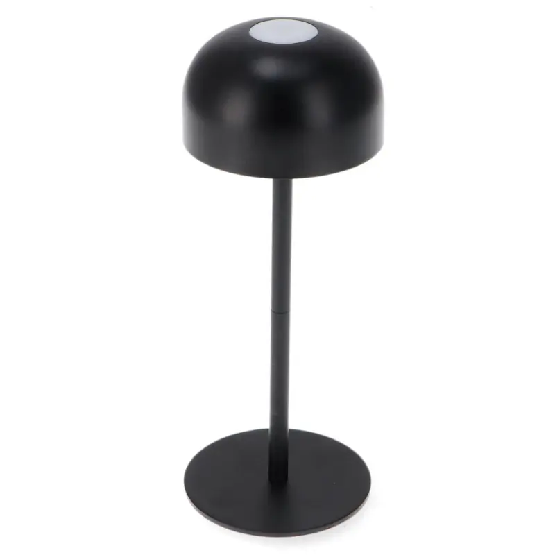 Lampe à Poser Led cct 2w portable déco 100 lumens