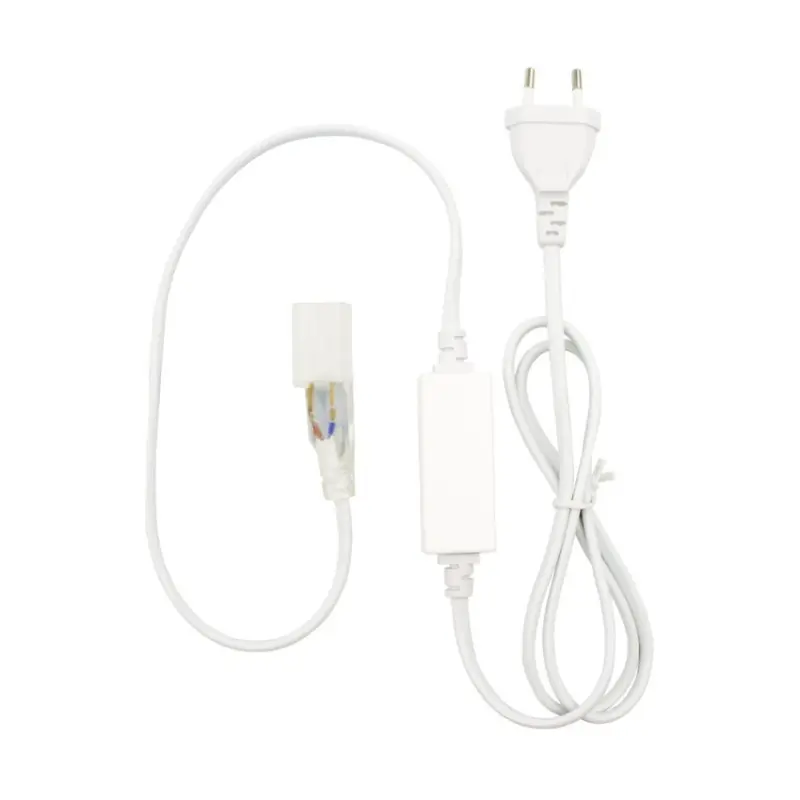 Alimentation contrôleur ruban monochrome néon led flexible 220v ac-50m