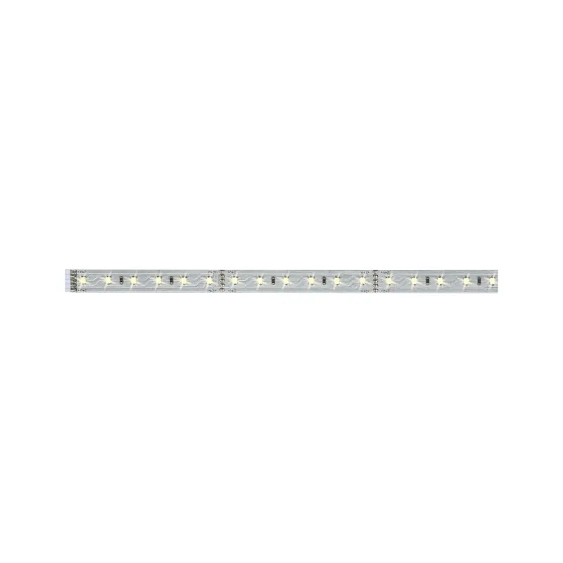 Function MaxLED 500 Stripe 1m blanc chaud 7W 24V argent