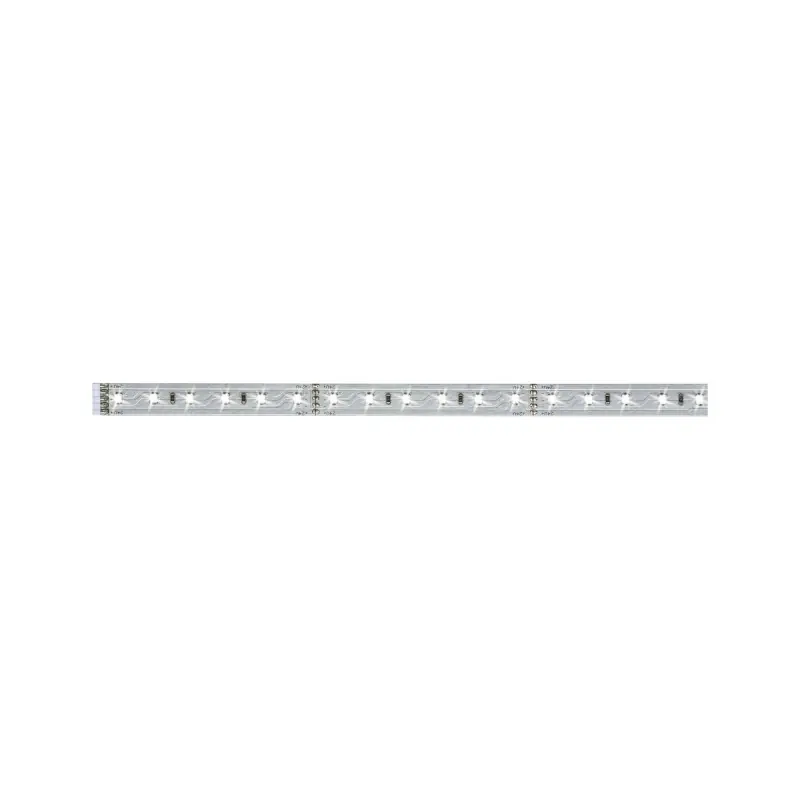 Function MaxLED 500 Stripe 1m blanc lumière du jour 6W 24V argent