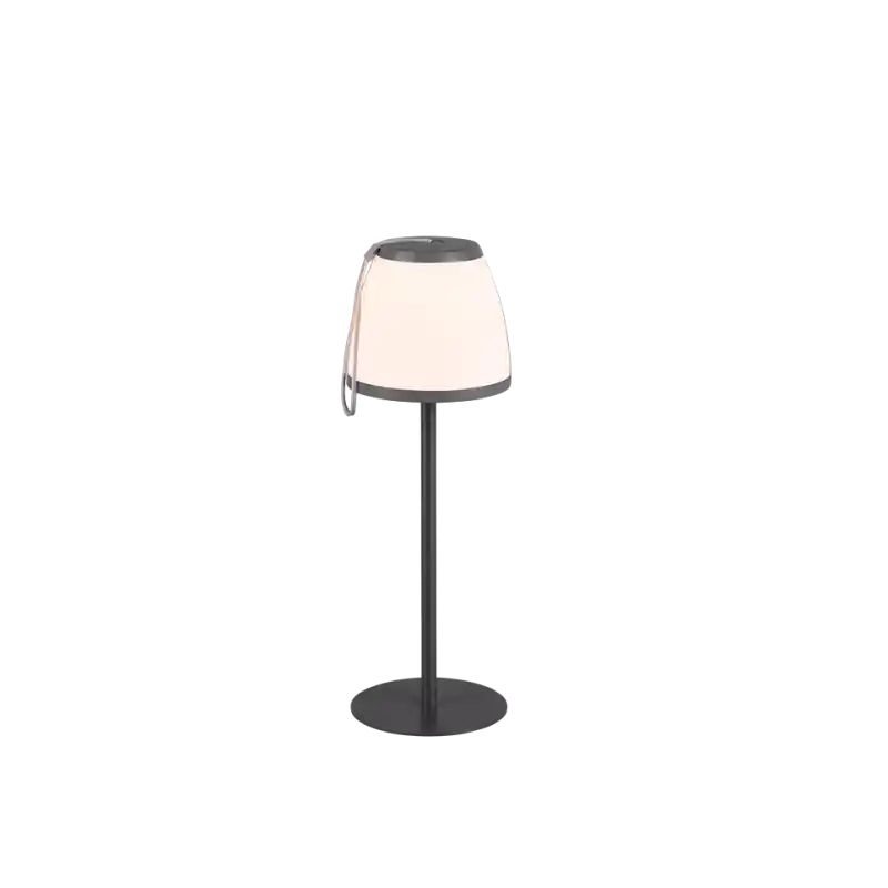 TRIO Lampe de table extérieur antracite DOMINGO