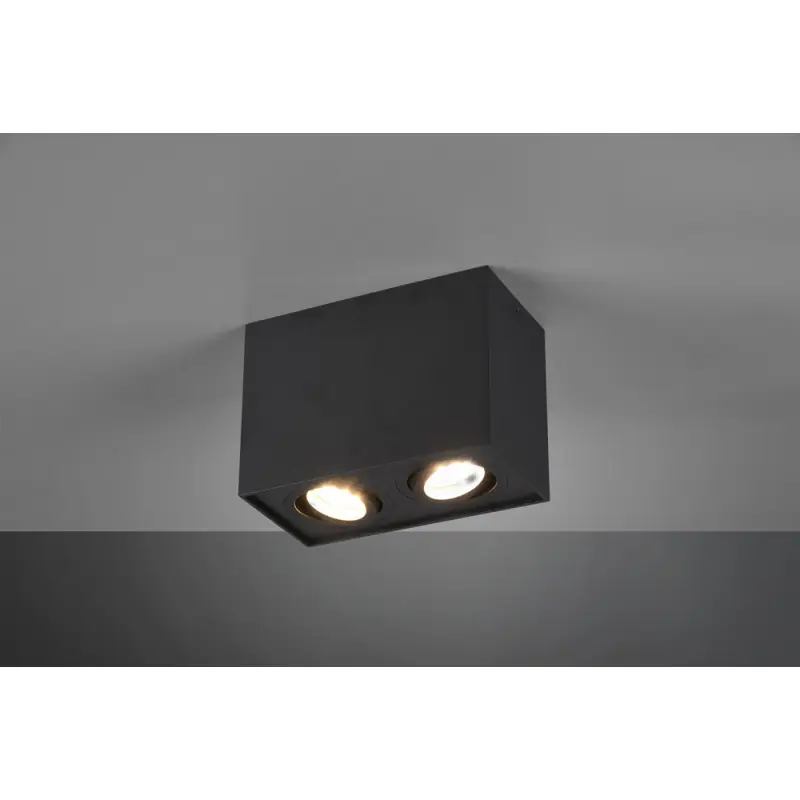 TRIO Plafonnier intérieur noir mat BISCUIT