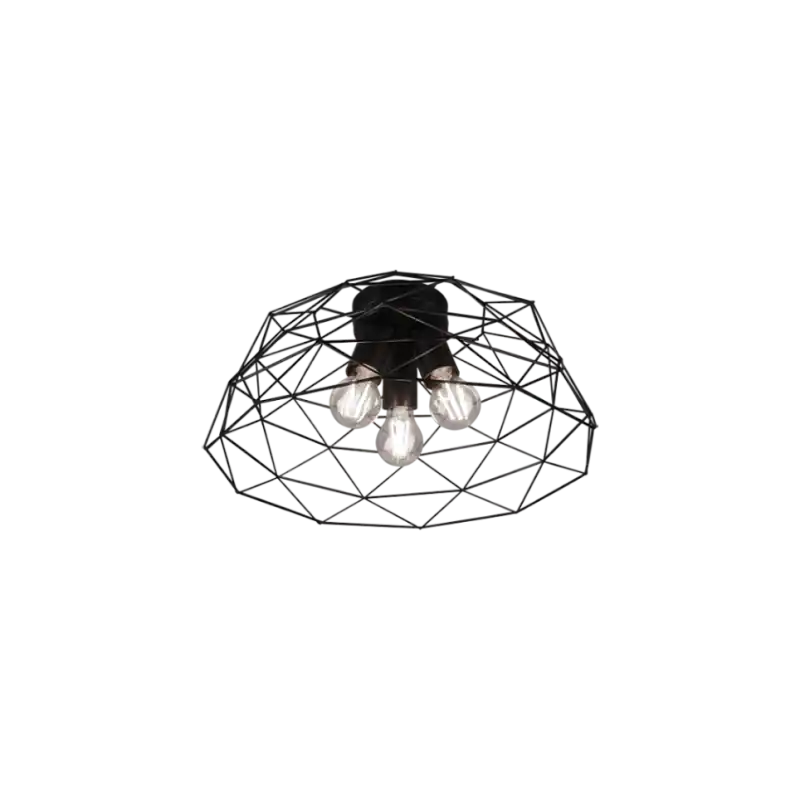 TRIO Plafonnier intérieur noir mat HAVAL