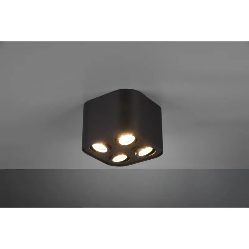 TRIO Plafonnier intérieur noir mat COOKIE