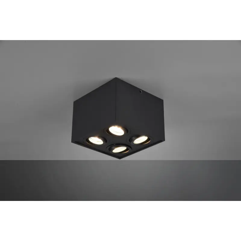 TRIO Plafonnier intérieur noir mat BISCUIT
