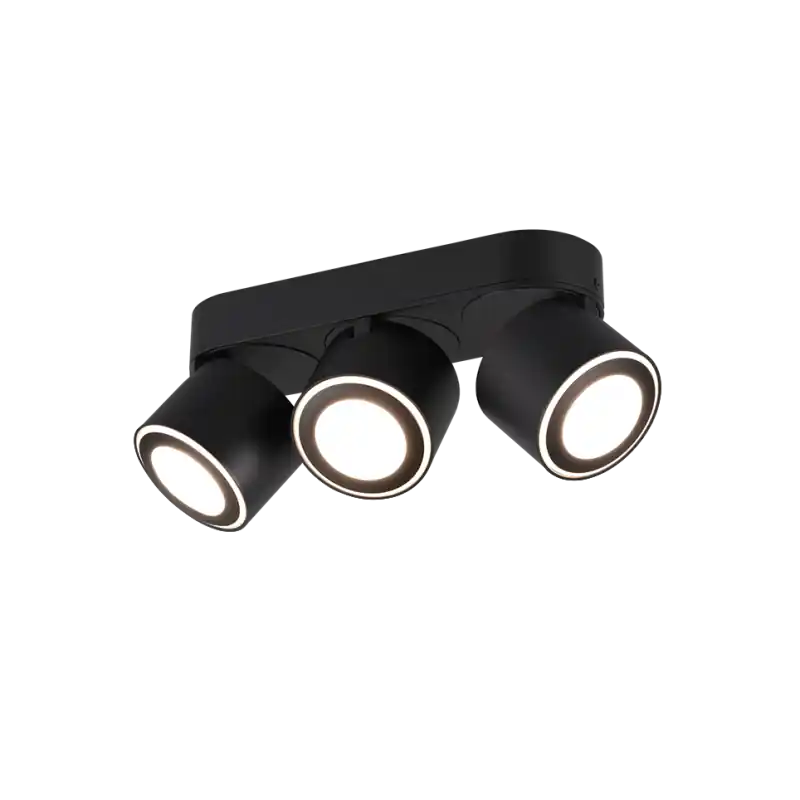 TRIO Plafonnier intérieur noir mat TAURUS