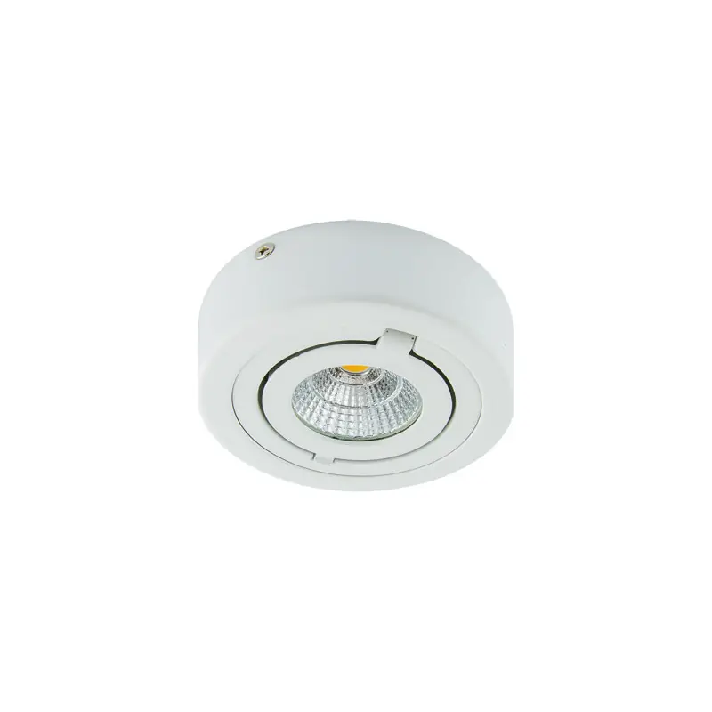 IGOR LED C 6W BLANC 4000K Plafonnier COB LED, inclus