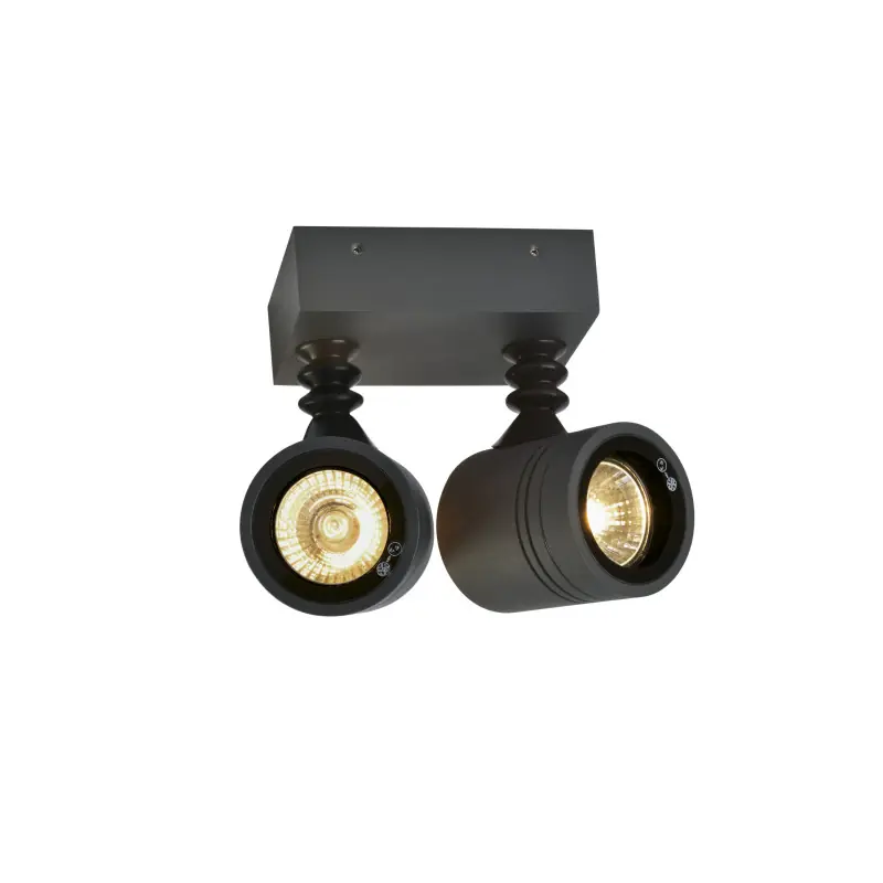 MYRA, applique et plafonnier extérieur, double, anthracite, GU10/QPAR51, 2x 50W max, IP55