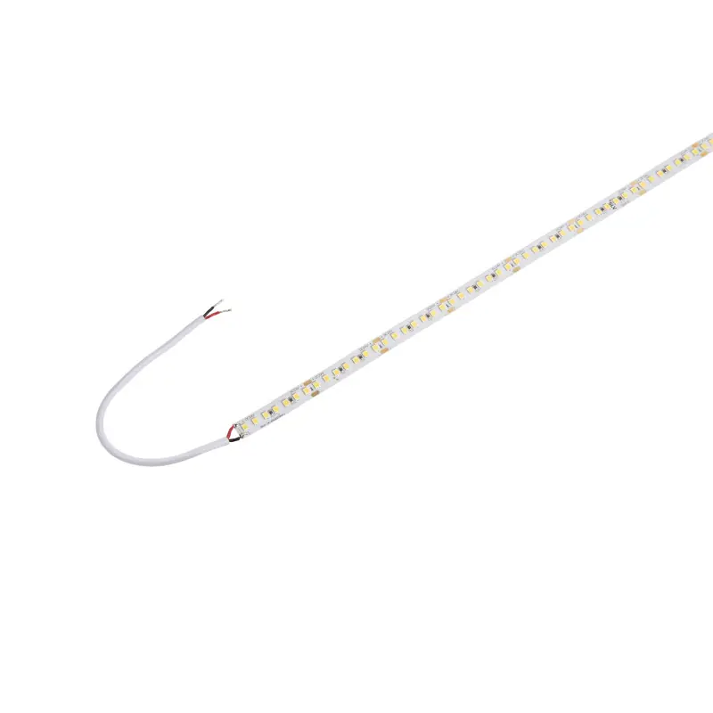 GRAZIA PRO FLEXSTRIP, bandeau LED intérieur, 5 m, 10 mm, blanc, LED, 6500K, 1700lm/m
