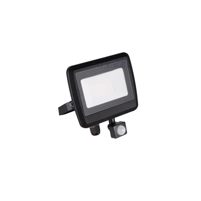 ANTEM LED 30W-NW-SE B Projecteur LED