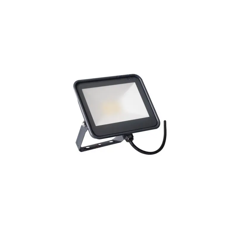 projecteur IQ-LED FL-20W-NW