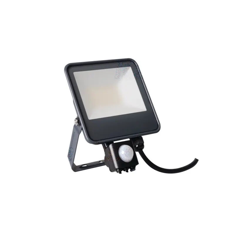 Projecteur détecteur IQ-LED FL-10W-4000k-SE