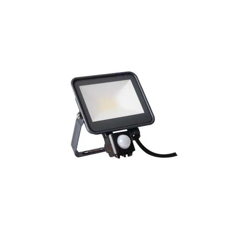 projecteur détecteur IQ-LED FL-20W-NW-SE