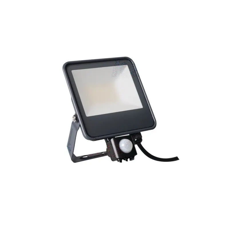 Projecteur détecteur IQ-LED FL-30W-4000k-SE