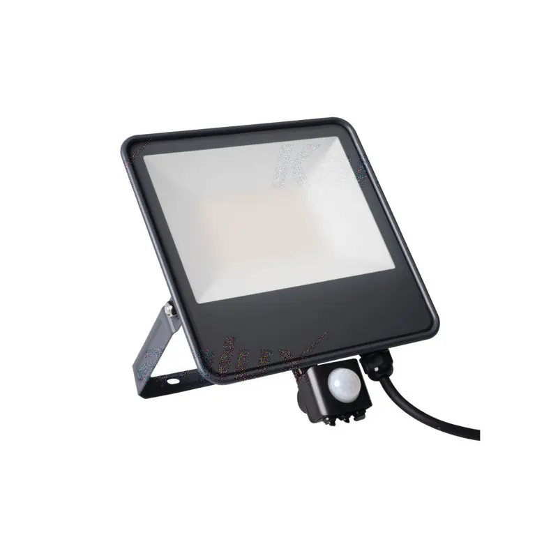 Projecteur détecteur IQ-LED FL-50W-4000k-SE