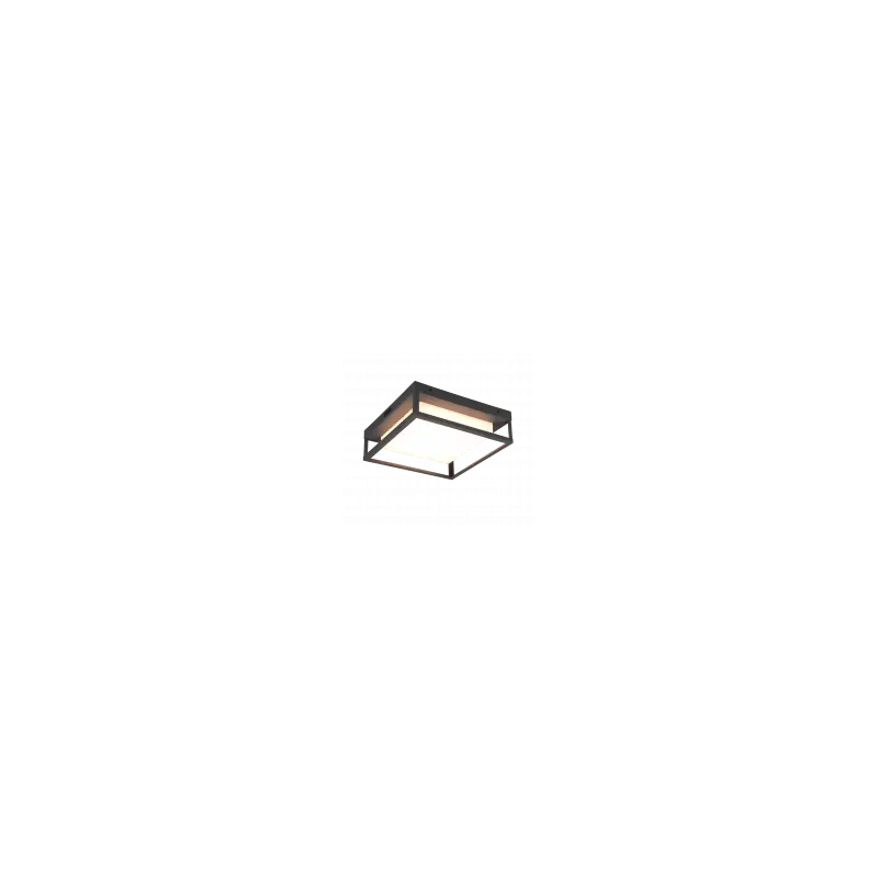 Plafonnier WITHAM incl. 1x SMD LED, 14W · 1x 1550lm, 2300+3000+4000K Métal Antracite